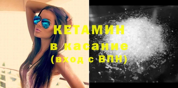 трава Коряжма