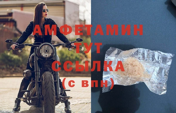 трава Коряжма