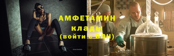 трава Коряжма