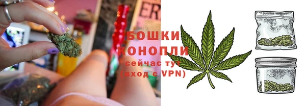 трава Коряжма