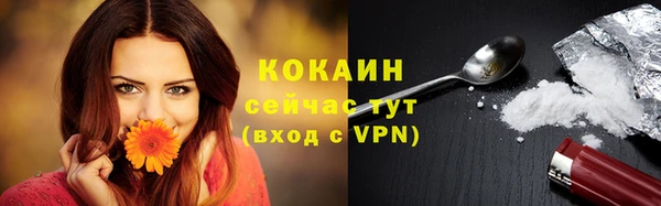 трава Коряжма