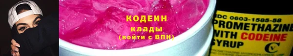 трава Коряжма