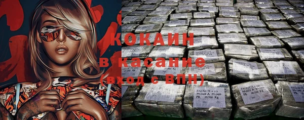 трава Коряжма