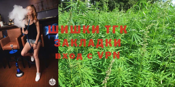 трава Коряжма