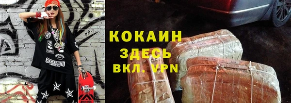 трава Коряжма