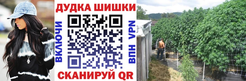 Канабис конопля  Москва 